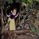 Illustration for article titled The Unblemished Record of the Unblemished Princess